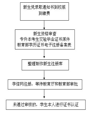 廣東省成人高考新生學籍注冊與查詢！